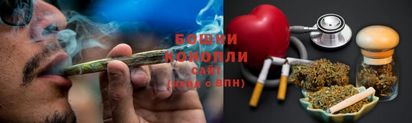 шишки Бородино