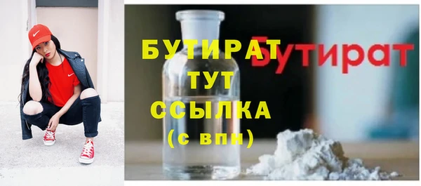 шишки Бородино