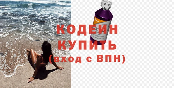 прущие грибы Вязьма