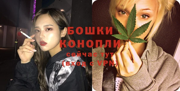 тгк Бронницы