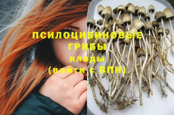 тгк Бронницы
