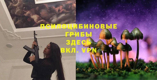 сатива Медногорск