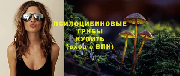 бошки Медвежьегорск