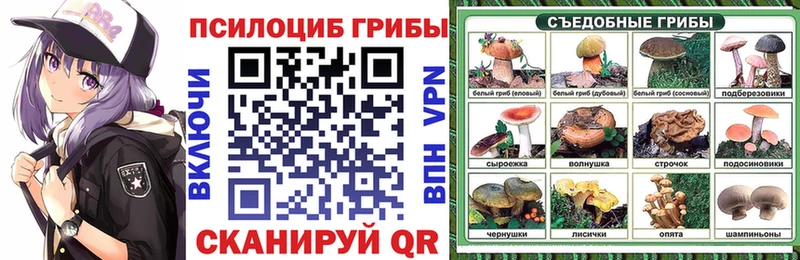 Галлюциногенные грибы мицелий  это какой сайт  Вихоревка 